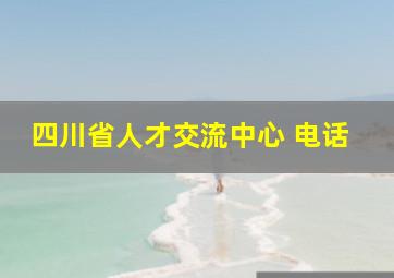 四川省人才交流中心 电话